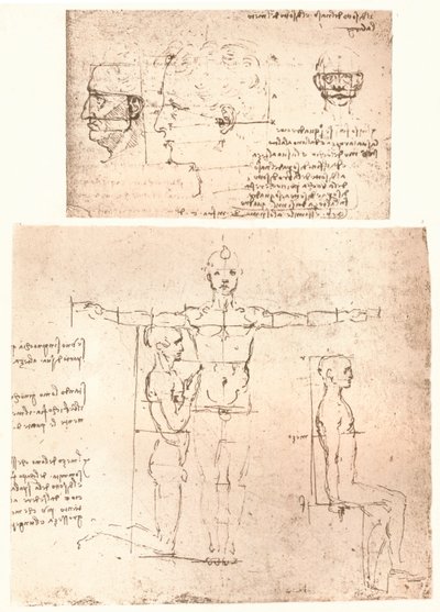 Dwa rysunki ilustrujące teorię proporcji postaci ludzkiej, c1472-c1519 1883. autorstwa Leonardo da Vinci