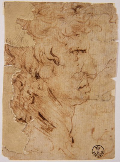 Nieznany obraz autorstwa Leonardo da Vinci