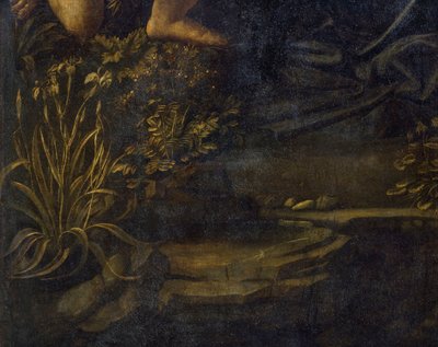 Dziewica Skała autorstwa Leonardo da Vinci