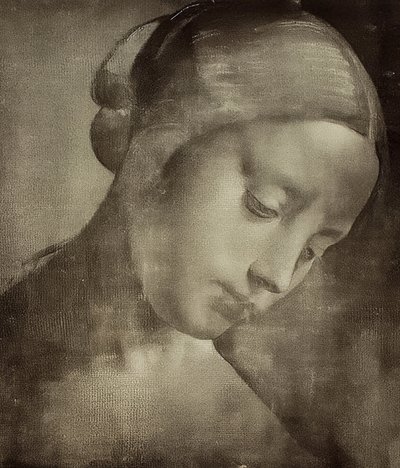 Głowa kobiety. 1470-1519 autorstwa Leonardo da Vinci