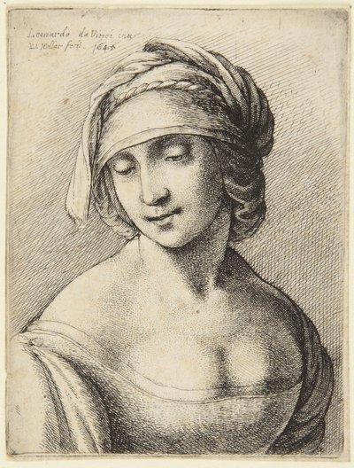 Kobieta w kominie autorstwa Leonardo da Vinci
