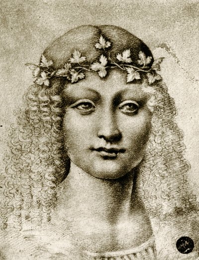 Głowa dziewczyny ozdobiona winoroślą autorstwa Leonardo da school of Vinci