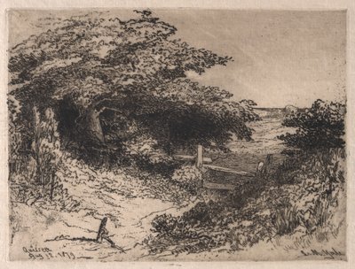 Quissett, Hrabstwo Barnstable, Massachusetts, 1879. autorstwa Leroy Milton Yale