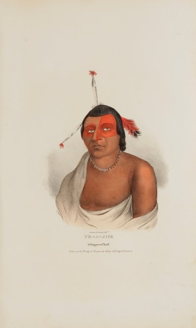 PE-A-JICK; Wódz Chippewa, z aborygeńskiego portfolio autorstwa Lewis, James Otto