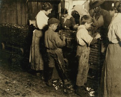 10-letni Jimmie, który opróżniał 3 lata (6 doniczek dziennie) z 11-letnim chłopcem, który opróżniał 7 doniczek w Varn und Platt Canning Co., Bluffton, Karolina Południowa, 1913 autorstwa Lewis Wickes Hine
