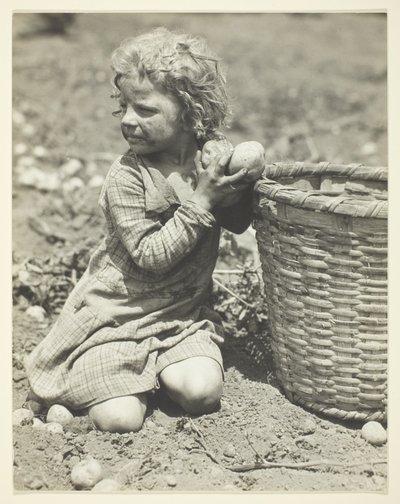 Praca dzieci na farmie autorstwa Lewis Wickes Hine