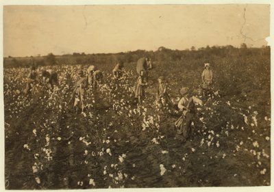 Rodzina zbierająca bawełnę niedaleko McKinney, Teksas, 1913 r. autorstwa Lewis Wickes Hine