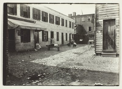Negro Alley Housing Whites, Waszyngton, D.C. autorstwa Lewis Wickes Hine