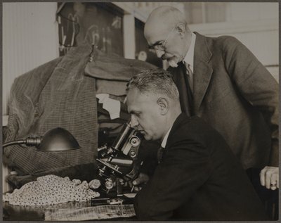  autorstwa Lewis Wickes Hine