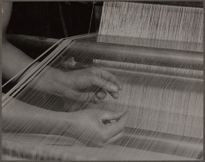  autorstwa Lewis Wickes Hine