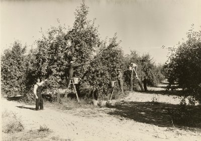 Bez tytułu, ca. 1935. autorstwa Lewis Wickes Hine