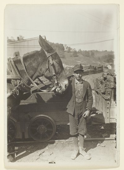 Młody kierowca w kopalni węgla w Zachodniej Wirginii autorstwa Lewis Wickes Hine