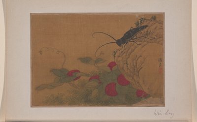 Konik polny na skale autorstwa Liang Wen