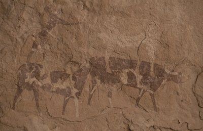 Bydło i postacie ludzkie, Malarstwo jaskiniowe, Oued in Djeran, Near Djanet, Tassili n
