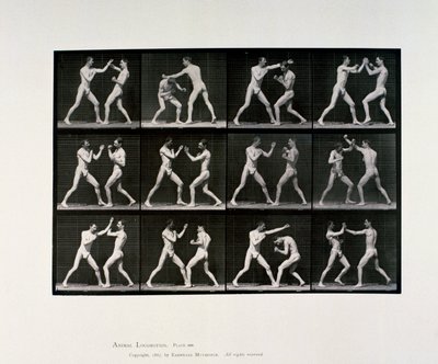 Boks nagich mężczyzn, ok. 1872-1885 autorstwa Unbekannt Unbekannt