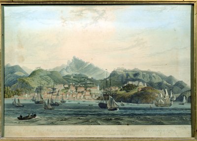Widok miasta St. George i Richmond Heights na wyspie Grenada, sztychowane przez Williama Daniella 1769-1837, c.1810 grawer autorstwa Lieutenant Colonel J. Wilson
