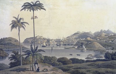 Widok miasta św. Jerzego na wyspie Grenada, zaczerpnięty z posiadłości Belmont, ryty przez Williama Daniella (1769-1837), ok. 1810 autorstwa Lieutenant Colonel J. Wilson