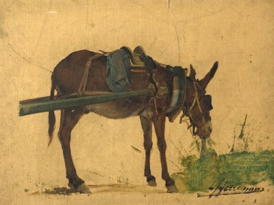 Studium muła (olej na płótnie) autorstwa Lievan Herremans