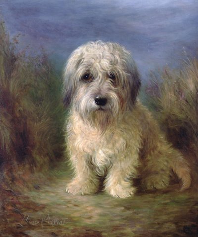 Dandie Dinmont Terrier (olej na płótnie) autorstwa Lilian Cheviot