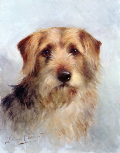 Jeden z Rodziny autorstwa Lilian Cheviot