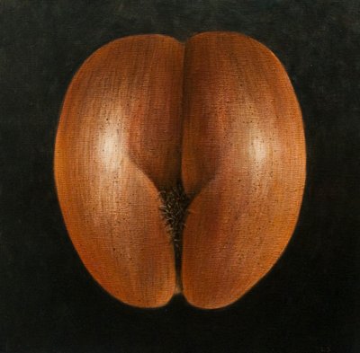 Coco de Mer, 2010 (akryl na płótnie) autorstwa Lincoln Seligman