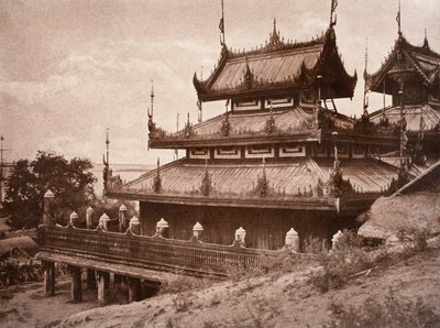 nr 8. Y er-męski-gaiyou, który [yen wzburzony AU to] K młody. autorstwa Linnaeus Tripe
