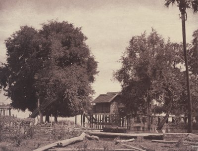 Tsagain Myo: Widok w pobliżu rzeki Irrawaddy autorstwa Linnaeus Tripe
