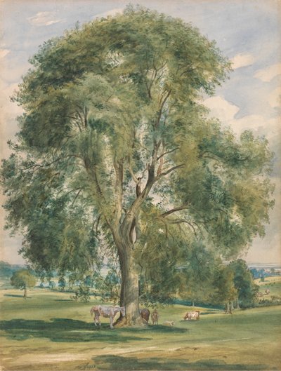 Duże drzewo w letnim krajobrazie, koń stojący u podstawy autorstwa Lionel Constable