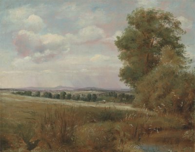 Pejzaż w Hampstead z broną w oddali, ok. 1849-55 (olej na płótnie) autorstwa Lionel Constable