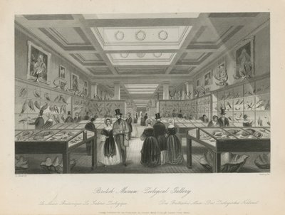 Pokój Zoologiczny w British Museum autorstwa Llewellyn Jewitt
