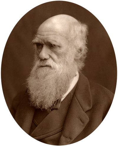 Karol Darwin, 1878. autorstwa Lock and Whitfield