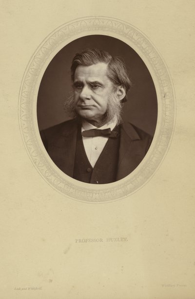 Portret Thomasa Henry