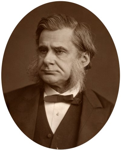Profesor Thomas Henry Huxley, 1880. autorstwa Lock and Whitfield