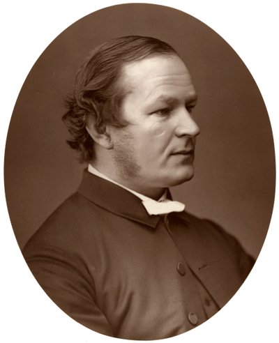 Rev Canon Farrar, DD, FRS, Canon of Westminster, 1876. autorstwa Lock and Whitfield