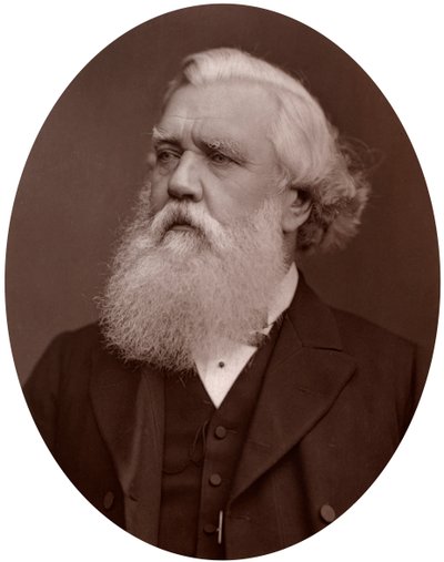 Prawy Hon Austen Henry Layard DCL, brytyjski ambasador w Konstantynopolu, 1877. autorstwa Lock and Whitfield