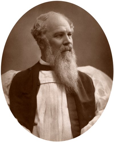 Prawy ks. John Charles Ryle, DD, biskup Liverpoolu, 1883. autorstwa Lock and Whitfield