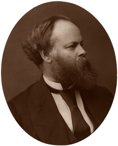 Samuel Plimsoll, Esq, poseł, brytyjski polityk liberalny i reformator społeczny, 1876. autorstwa Lock and Whitfield