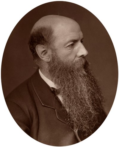Sir Wilfrid Lawson, polityk, poseł do Carlisle, 1882. autorstwa Lock and Whitfield