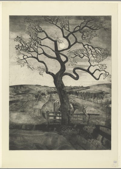 Koń na łące w pobliżu Etikhove Vieux cheval en repos (tytuł oryginalny) autorstwa Lodewijk Schelfhout (signed by artist)