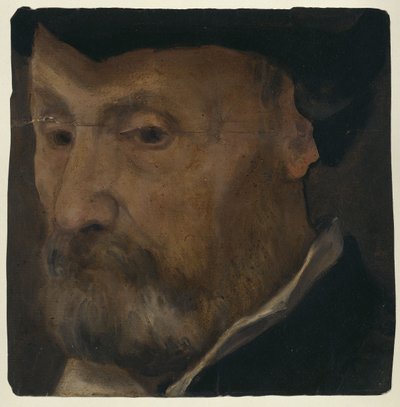 Portret mężczyzny autorstwa Lorenzo Lotto