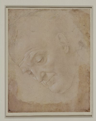 Portret łysego mężczyzny, zwróconego trzy czwarte w lewo ... autorstwa Lorenzo di Credi