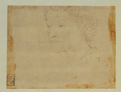 Portret chłopca z kręconymi włosami, trzy czwarte w lewo ... autorstwa Lorenzo di Credi