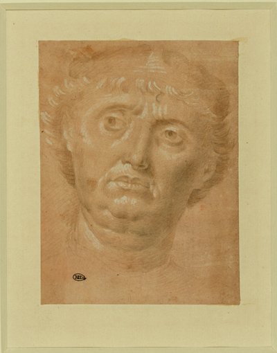 Portret mężczyzny, pełna twarz, oczy zwrócone w lewo ... autorstwa Lorenzo di Credi