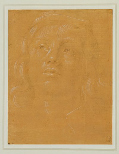 Portret młodego mężczyzny o pełnej twarzy, patrzącego w górę ... autorstwa Lorenzo di Credi