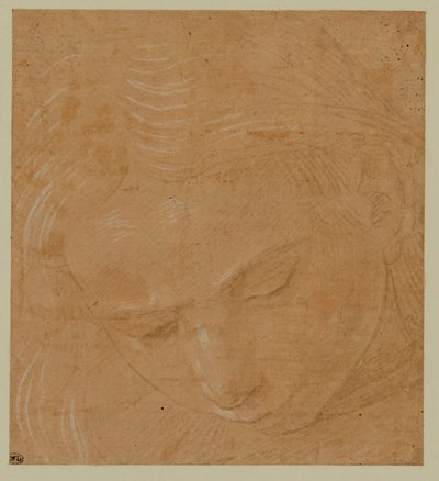 Portret młodego mężczyzny, patrzącego w dół ... autorstwa Lorenzo di Credi