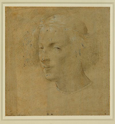 Portret młodego mężczyzny z ... autorstwa Lorenzo di Credi
