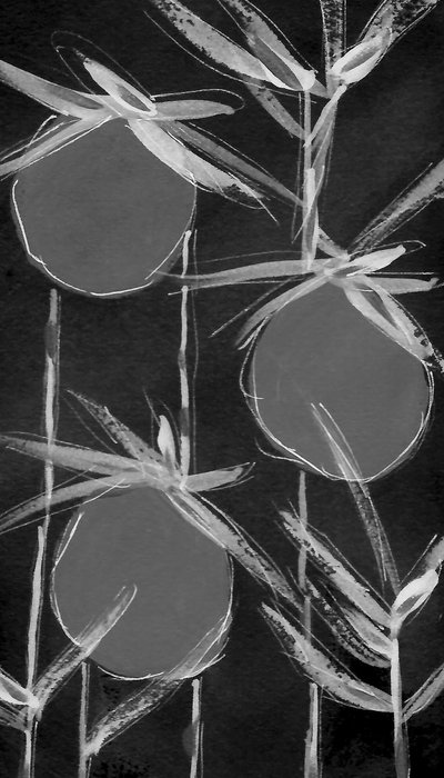 Abstrakcyjne formy botaniczne autorstwa Lori Ann Folz