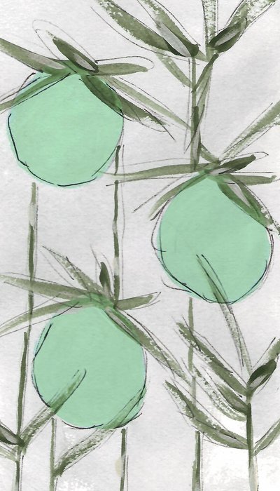 Streszczenie: Green Botanicals autorstwa Lori Ann Folz