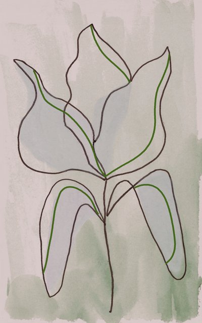 Minimalistyczny szkic botaniczny autorstwa Lori Ann Folz