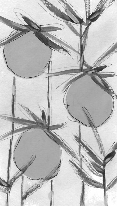 Organic Ink Botanicals autorstwa Lori Ann Folz